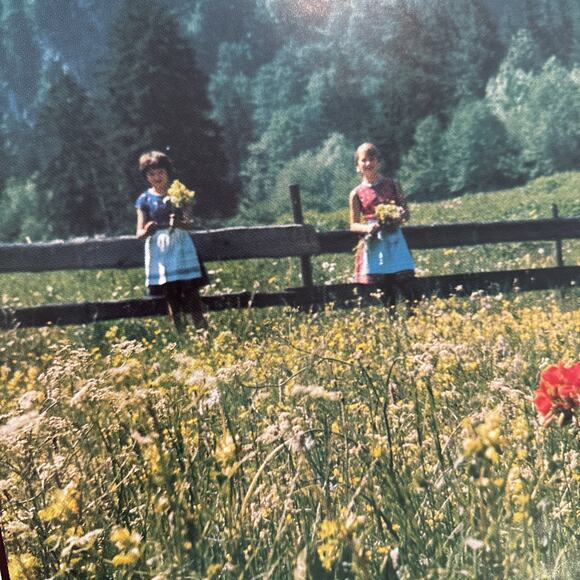 Braniff International Airlines Poster Percival's Europe Retro Advertisement 31" - Picture 4 of 9